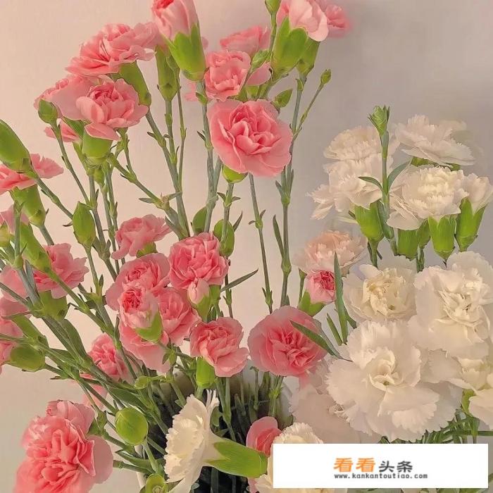 七夕情人节的朋友圈文案你会怎么发 七夕情人节的朋友圈文案你会怎么发