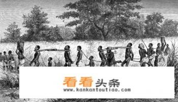 17-18世纪，在美国的非洲黑人奴隶社会中的生活是怎样的