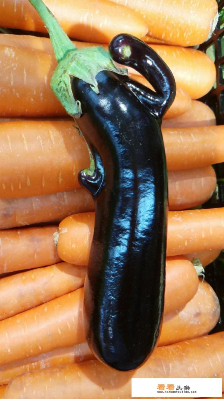 有个双排小货车，准备赶集摆摊卖东西。卖什么好呢