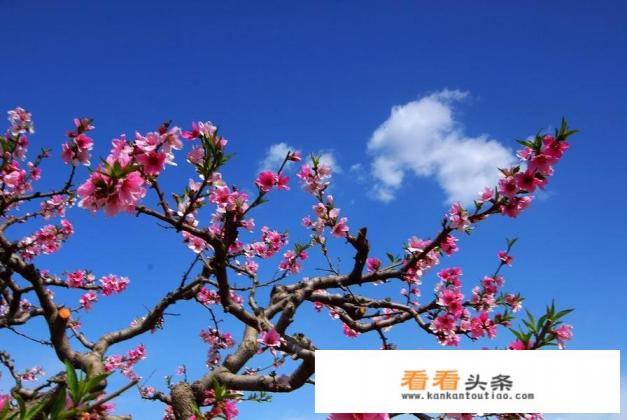 我是邯郸魏县的，想自驾游一天来回附近有什么好玩的地方吗