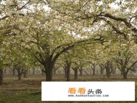 我是邯郸魏县的，想自驾游一天来回附近有什么好玩的地方吗