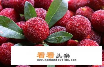 杨梅怎么腌制才好吃 杨梅怎么腌制才好吃