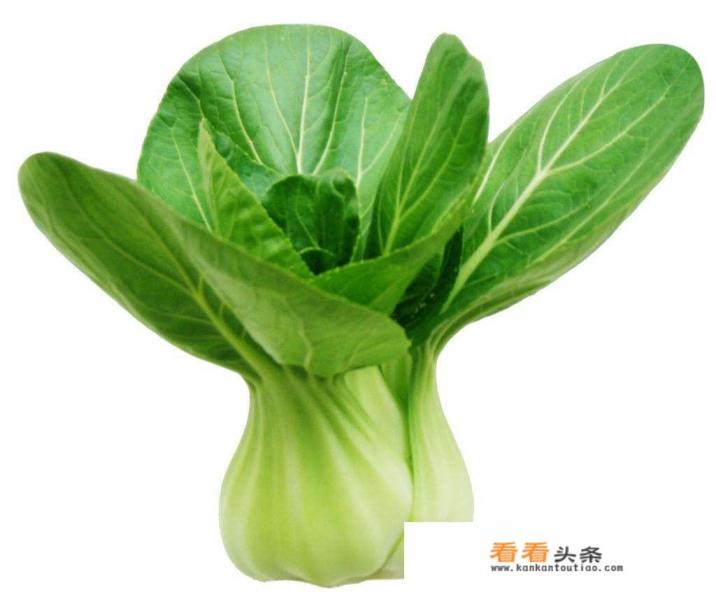 有没有什么好的减肥食谱 有没有什么好的减肥食谱