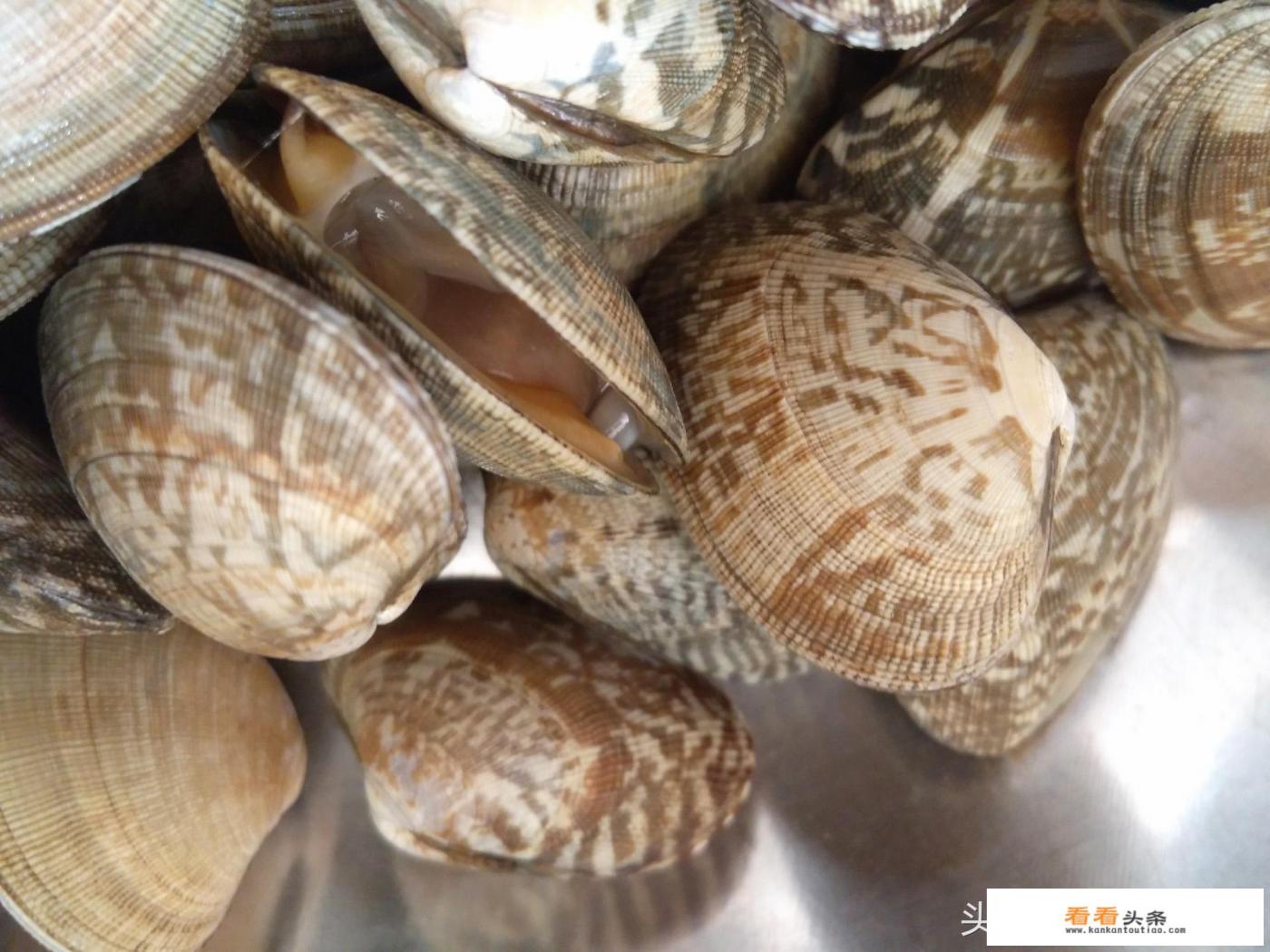 辣炒花蚬子怎么炒好吃