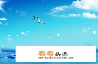 什么录屏软件好用