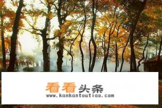 最近去哪里游玩比较合适 最近去哪里游玩比较合适