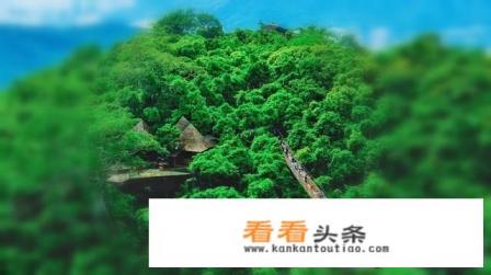 秋天去什么地方旅游比较好 秋天去什么地方旅游比较好