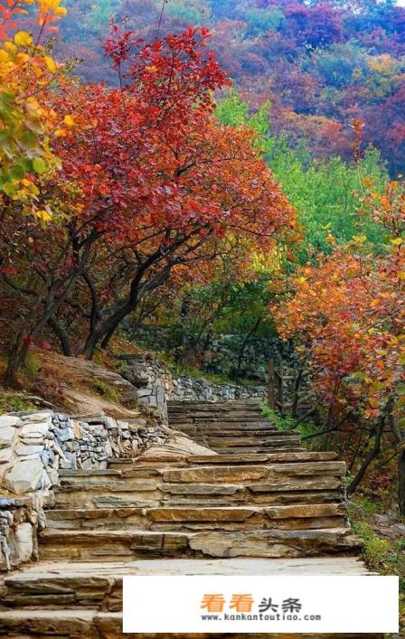 秋天去什么地方旅游比较好 秋天去什么地方旅游比较好