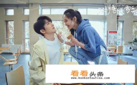 《冰糖炖雪梨》这部电视剧剧情是什么