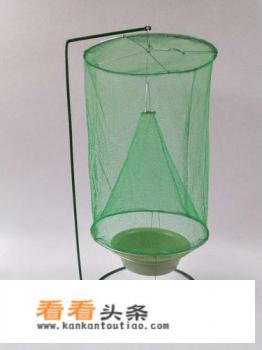 苍蝇太多了用什么办法快速解决 苍蝇太多了用什么办法快速解决