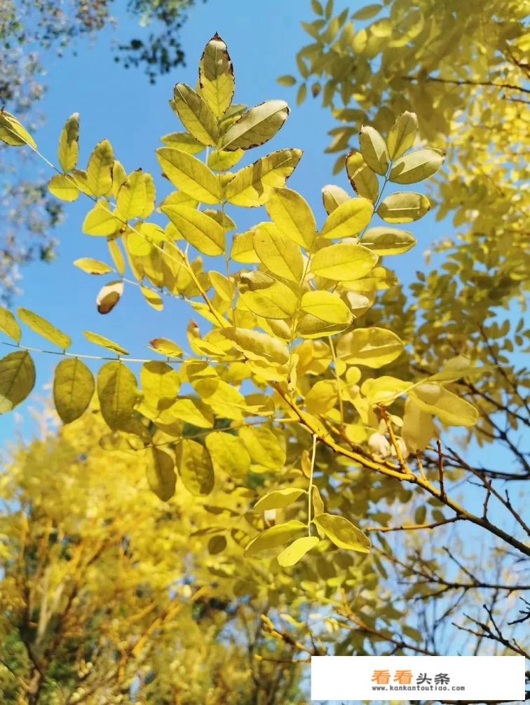 出国旅游，在朋友圈五分钟晒一次图，不断刷屏，这样的人心里在想什么