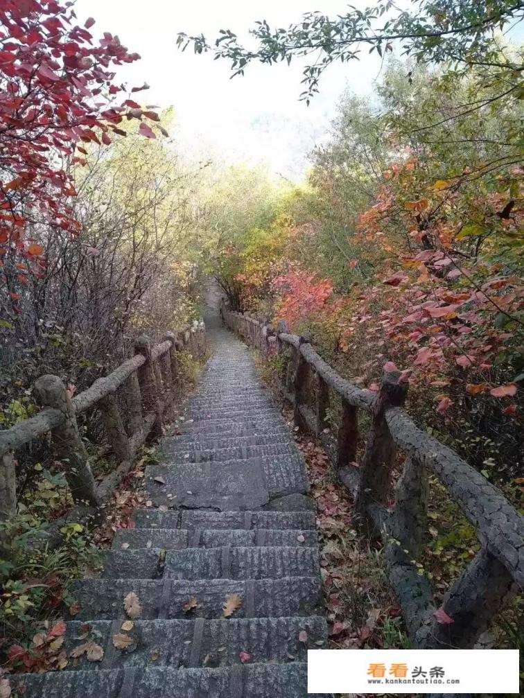 出国旅游，在朋友圈五分钟晒一次图，不断刷屏，这样的人心里在想什么