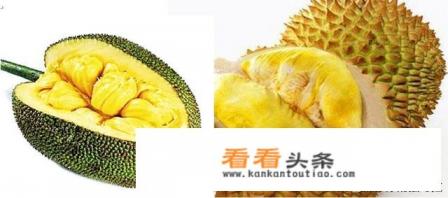 榴莲与榴莲蜜有什么区别