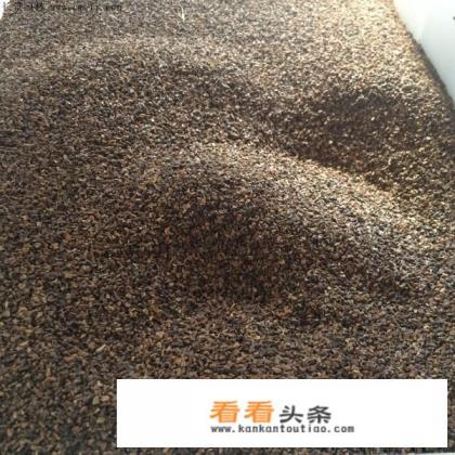 艾草种子怎么种 艾草种子怎么种