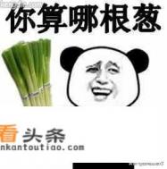 大葱的作用和功效是什么 大葱的作用和功效是什么