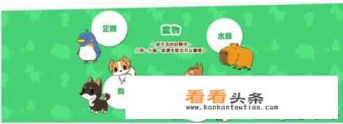 switch 策略经营类游戏排行