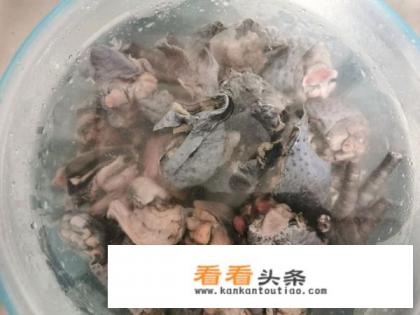 乌鸡有哪些好吃的做法?跟普通的鸡差别大吗 乌鸡有哪些好吃的做法?跟普通的鸡差别大吗