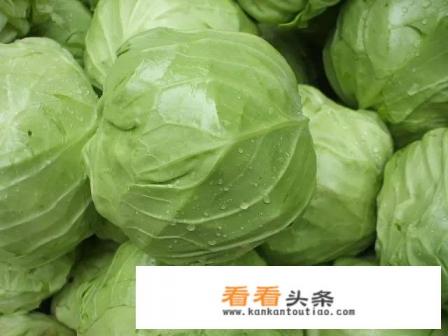 干锅包心菜的做法 干锅包心菜的做法