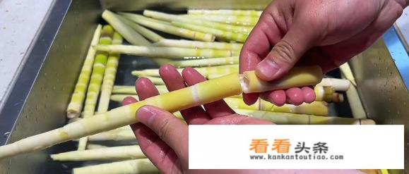 腌竹笋怎么做好吃 腌竹笋怎么做好吃