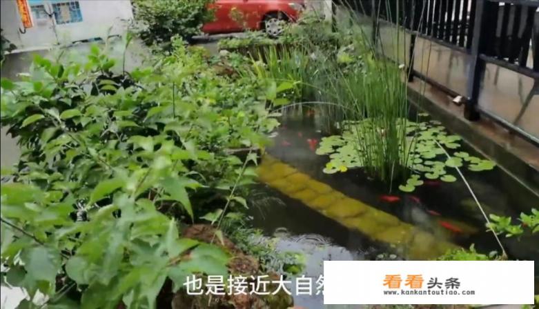 西安旅游,怎么安排住宿,比较节省呢 西安旅游,怎么安排住宿,比较节省呢