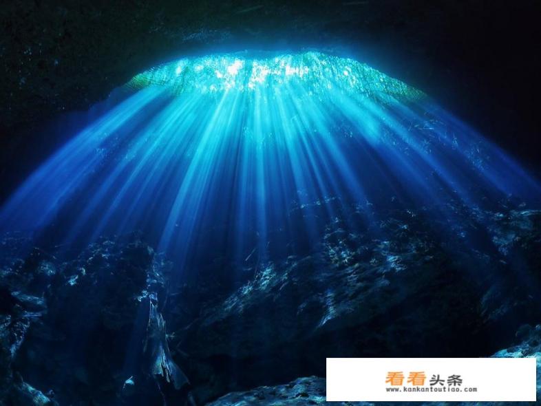 有哪些可以查询、订购最优惠的机票的APP或者网站