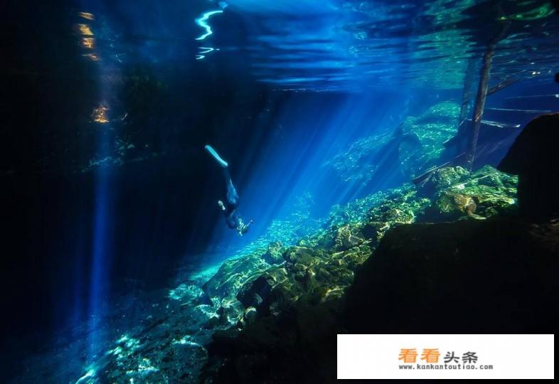 有哪些可以查询、订购最优惠的机票的APP或者网站