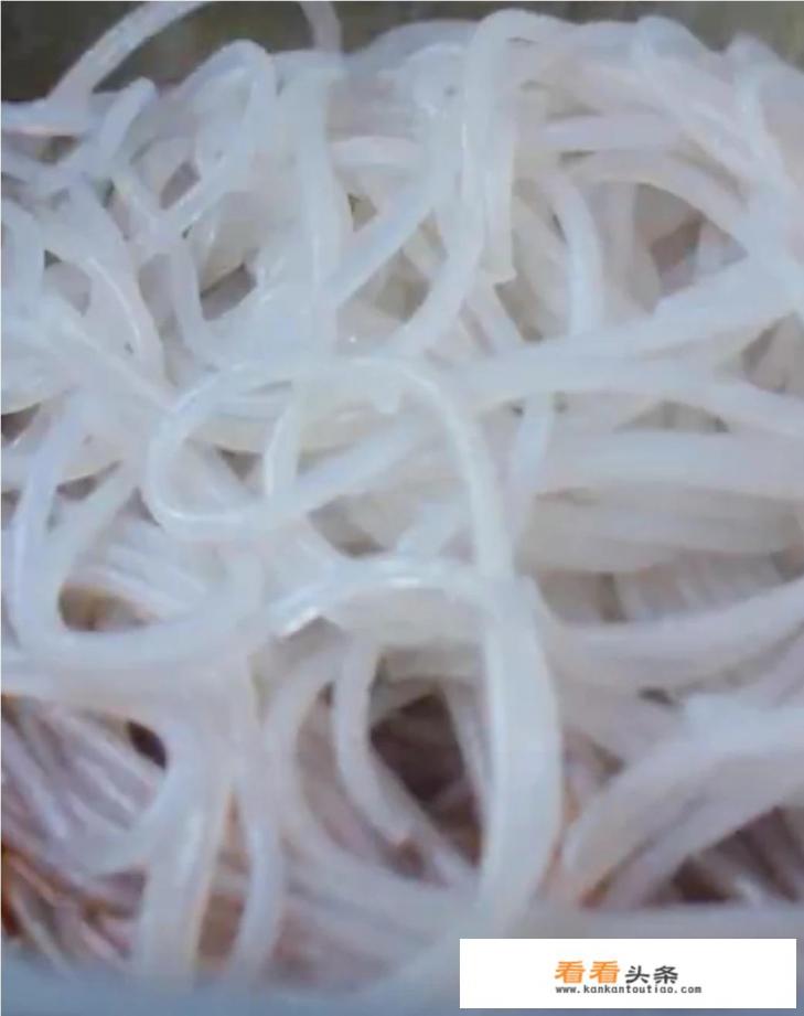 蚂蚁上树这道菜: 你用的是宽粉, 还是细粉呢 蚂蚁上树这道菜: 你用的是宽粉, 还是细粉呢