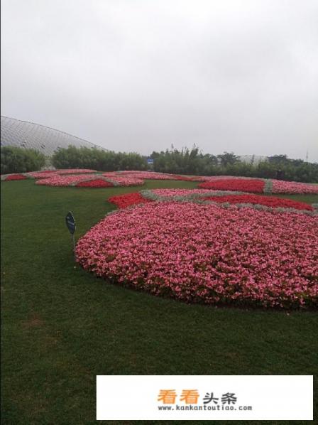 去上海开车旅游住哪方便 去上海开车旅游住哪方便