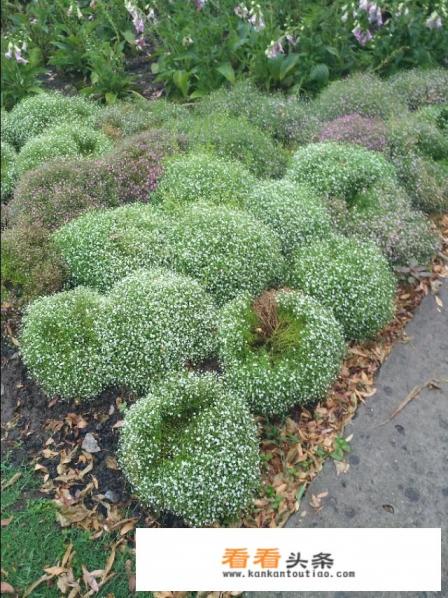 去上海开车旅游住哪方便 去上海开车旅游住哪方便