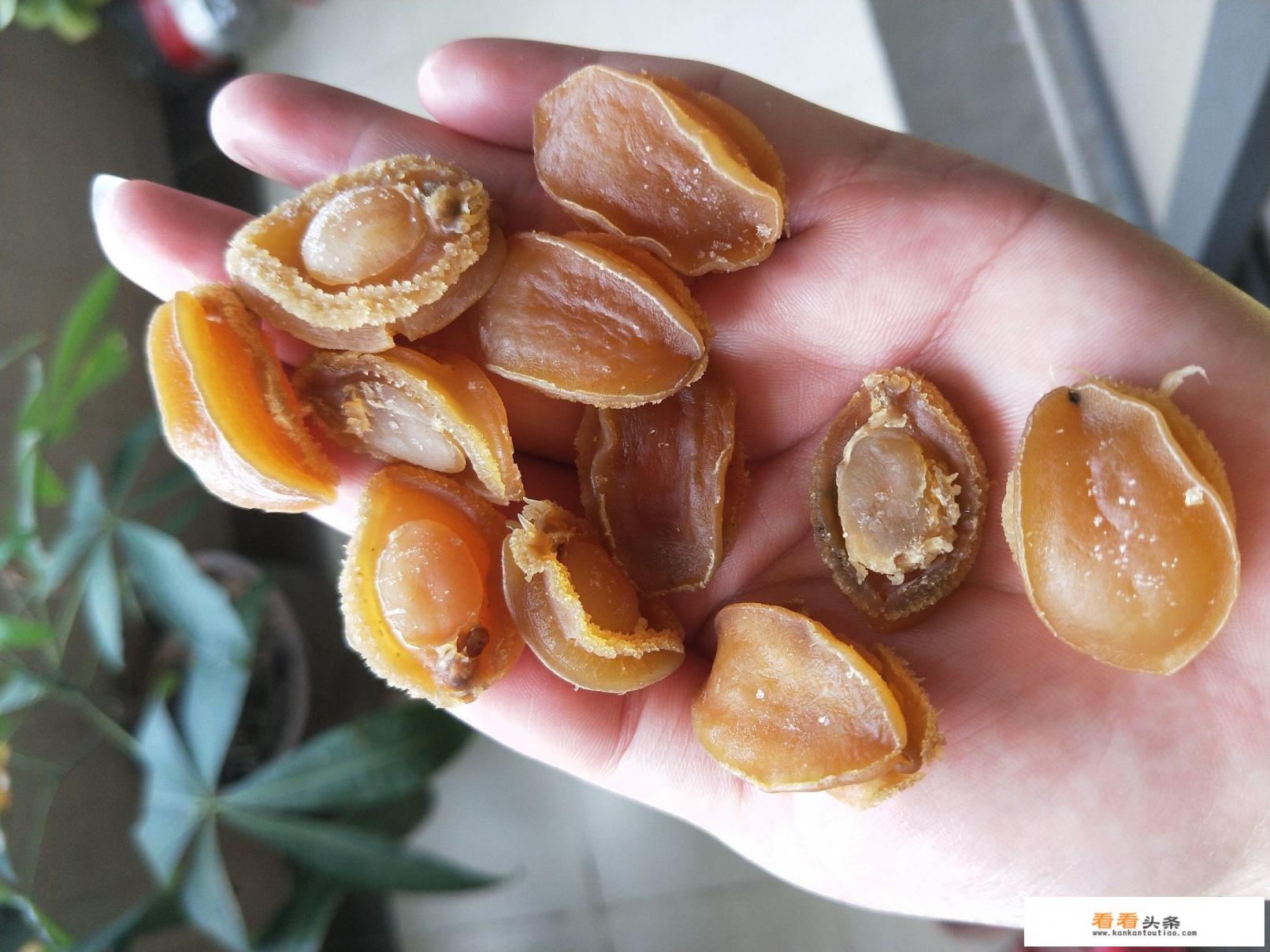 鸡汤鲍鱼汤的炖法