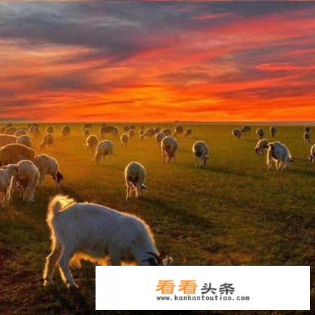 有什么地方适合旅行的呢 有什么地方适合旅行的呢