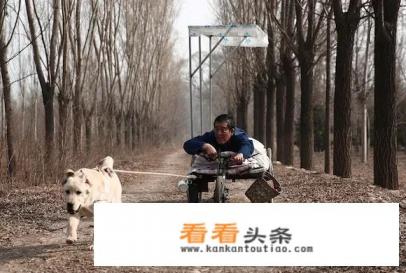 大家认为现在国内的电视剧,最感人的是哪些?就是特别感人,能让人直接落泪的那种 大家认为现在国内的电视剧,最感人的是哪些?就是特别感人,能让人直接落泪的那种