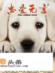 大家认为现在国内的电视剧,最感人的是哪些?就是特别感人,能让人直接落泪的那种 大家认为现在国内的电视剧,最感人的是哪些?就是特别感人,能让人直接落泪的那种