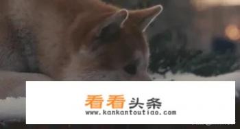 大家认为现在国内的电视剧,最感人的是哪些?就是特别感人,能让人直接落泪的那种 大家认为现在国内的电视剧,最感人的是哪些?就是特别感人,能让人直接落泪的那种