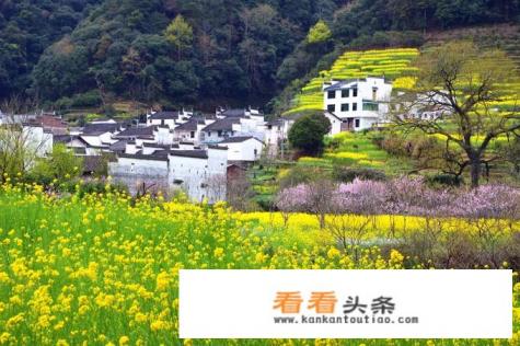 江西婺源最美的景区是哪里 江西婺源最美的景区是哪里