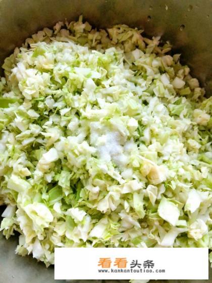 20种常见素饺子馅有哪些 20种常见素饺子馅有哪些