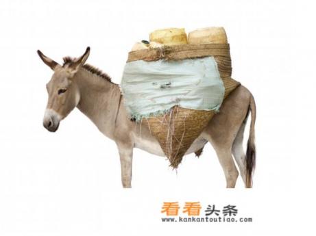 如果把电动汽车拖挂到燃油车后面长途旅行,靠能量回收充电,是否可行 如果把电动汽车拖挂到燃油车后面长途旅行,靠能量回收充电,是否可行