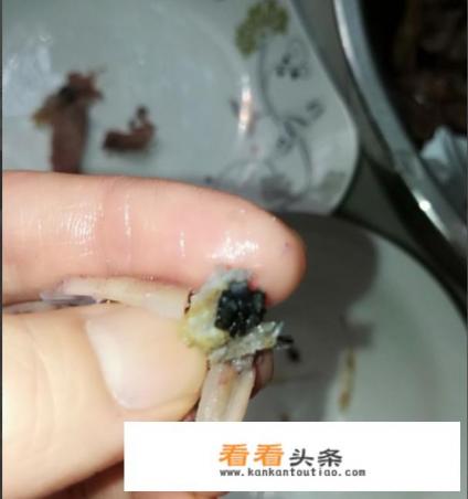 清洗海兔子的具体过程 清洗海兔子的具体过程