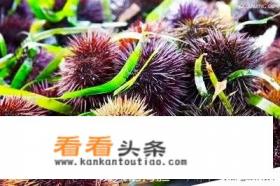 西安到乳山银滩自驾游攻略