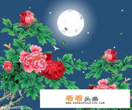 长安牡丹,菏泽牡丹和洛阳牡丹有什么历史渊源 长安牡丹,菏泽牡丹和洛阳牡丹有什么历史渊源