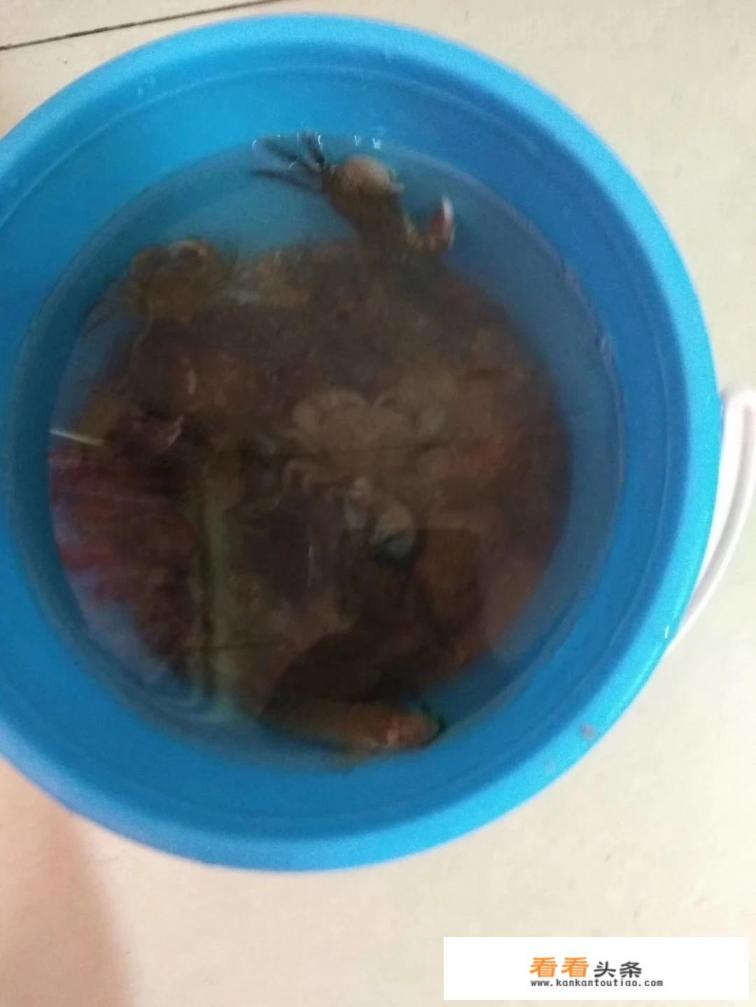 辽宁最宜居的小镇 辽宁最宜居的小镇