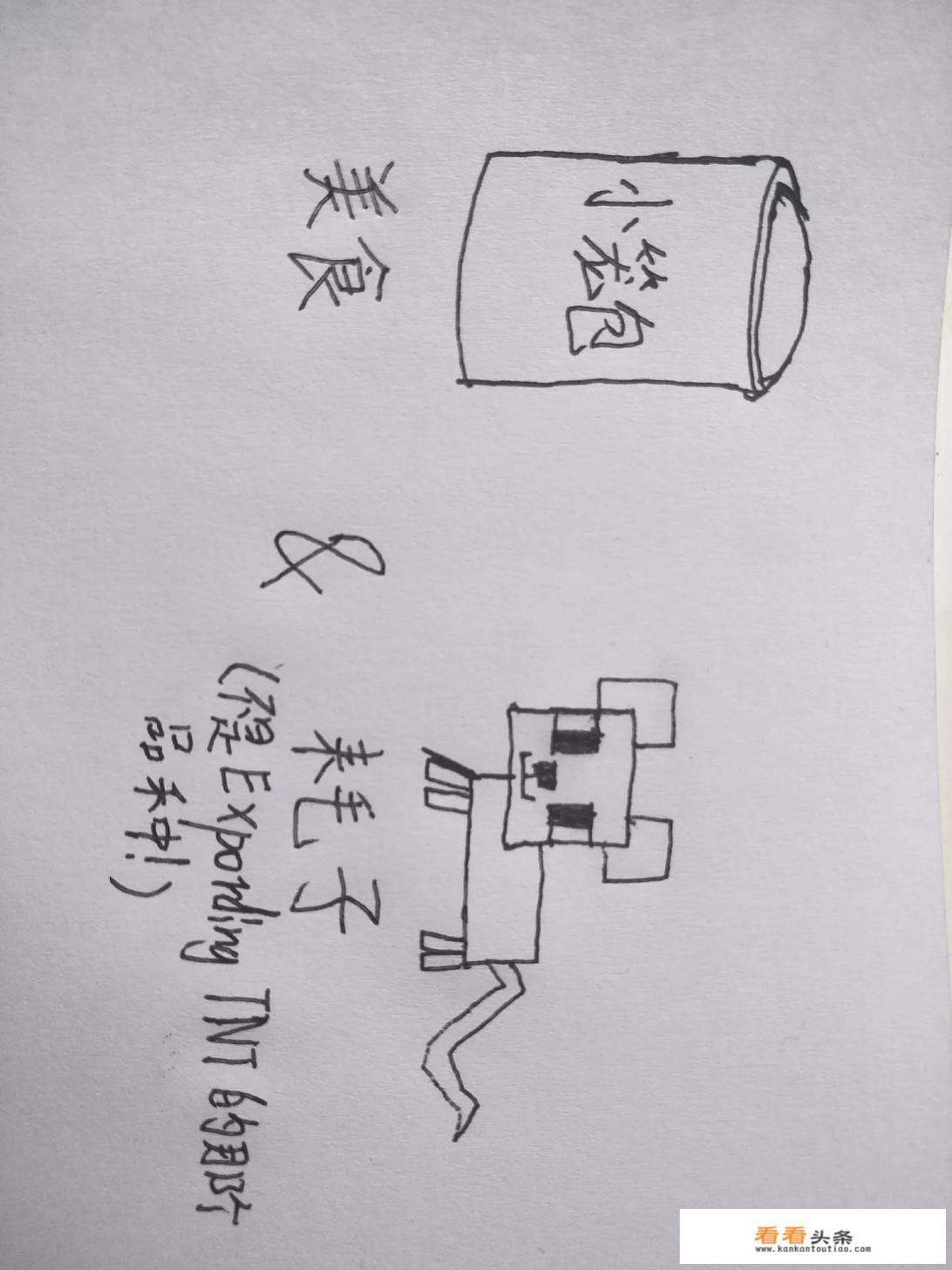 有个搜集食材的gba游戏叫什么 有个搜集食材的gba游戏叫什么