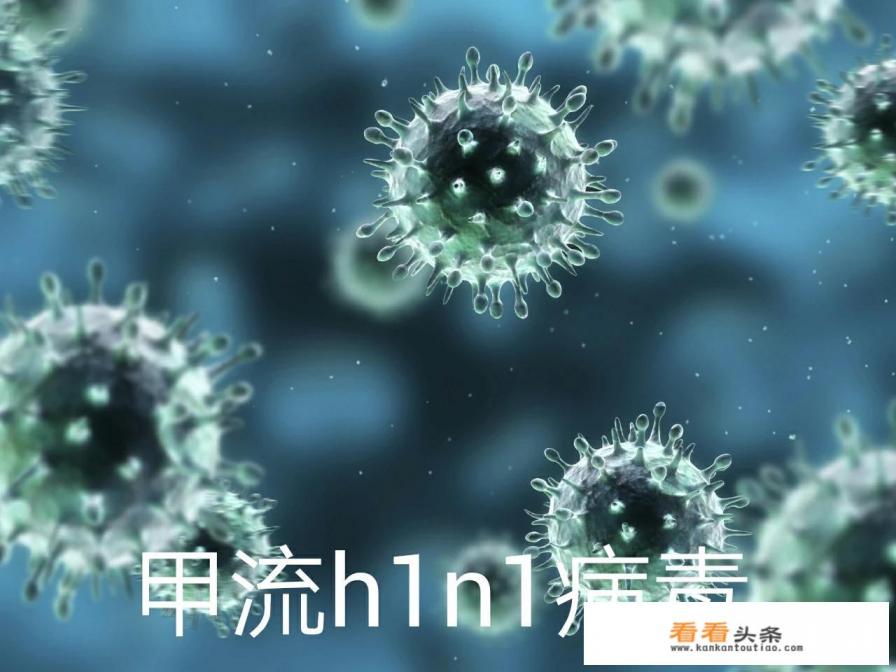 有个搜集食材的gba游戏叫什么 有个搜集食材的gba游戏叫什么