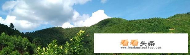 化州市有哪些旅游景点 化州市有哪些旅游景点