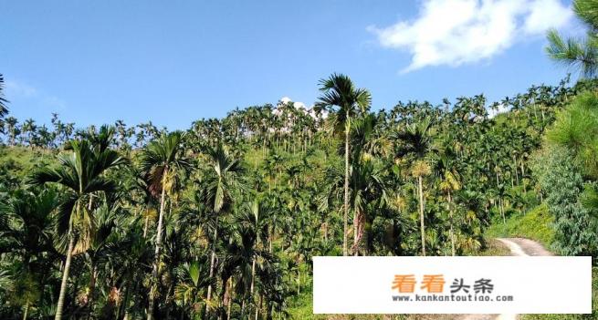 化州市有哪些旅游景点 化州市有哪些旅游景点