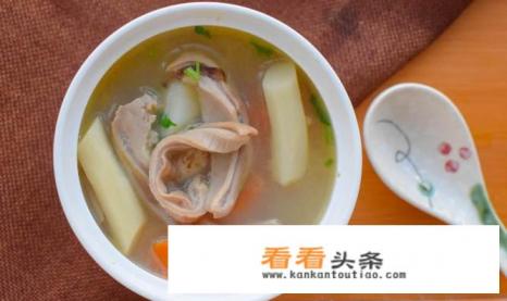 猪肚煲汤最佳搭配食材 猪肚煲汤最佳搭配食材