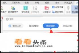 用wps文字软件做精美简历 用wps文字软件做精美简历