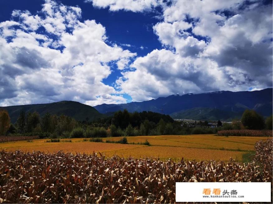 八月初从长春出发,想去云南旅游,想去普者黑、大理、洱海、泸沽湖,十天时间够吗 八月初从长春出发,想去云南旅游,想去普者黑、大理、洱海、泸沽湖,十天时间够吗