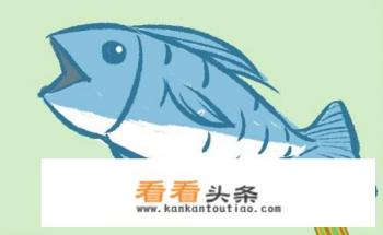 怎样画鱼-如何画鱼-鱼的画法-鱼简笔画 怎样画鱼-如何画鱼-鱼的画法-鱼简笔画