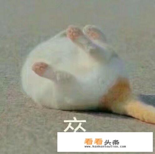 学软件技术好还是建筑设计好 学软件技术好还是建筑设计好